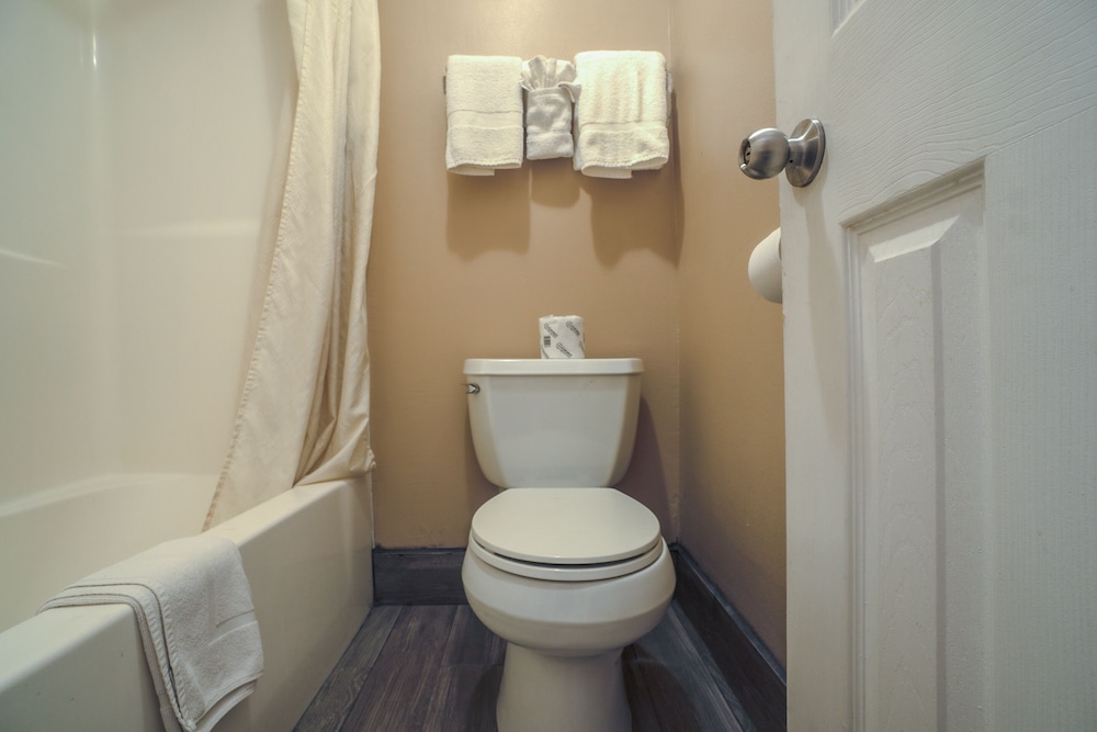 Room, 1 King Bed, Mobility Accessible, Non Smoking (Mobility, Roll-In Shower) - Photo 10
