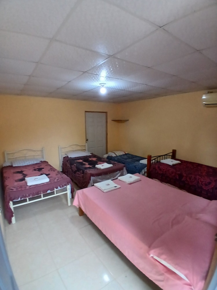 Basic Room photo 1