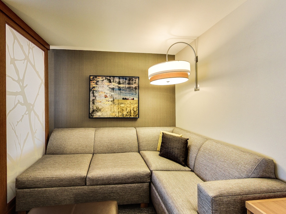 Suite, 1 King Bed with Sofa bed photo 3