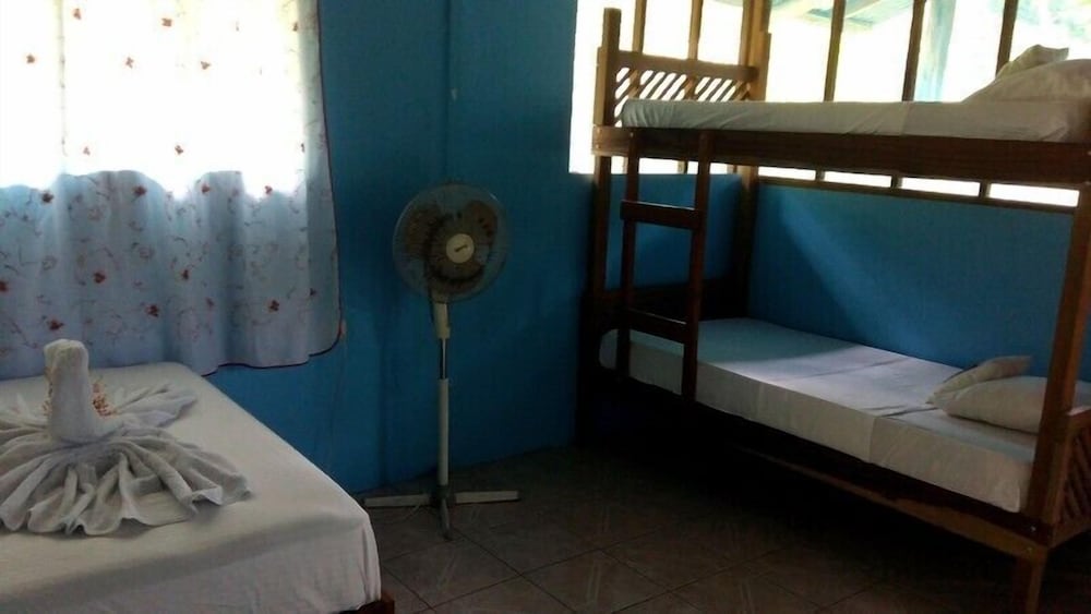 Economy Apartment, 1 Double Bed photo 3