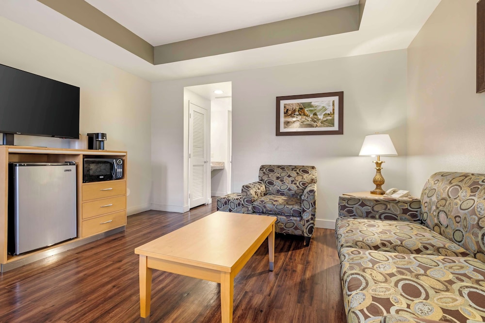 Suite, 1 King Bed, Accessible, Non Smoking (with Sofabed) - Photo 2