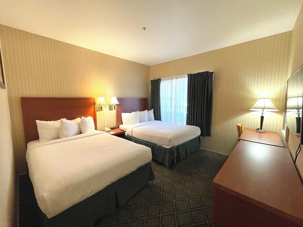 Standard Double Suite Accessible - Photo 2