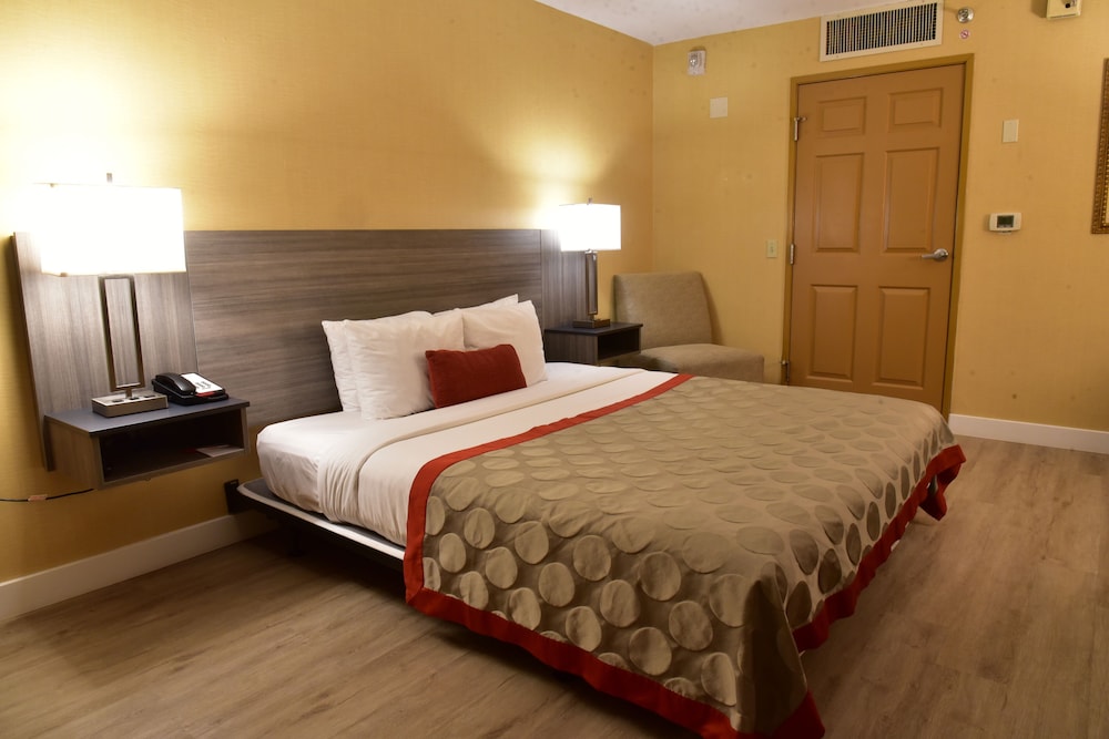 Room, 1 King Bed, Accessible, Non Smoking (Mobility/Hearing) photo 1