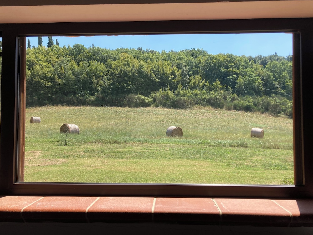 Comfort Studio Suite, 1 Bedroom, Terrace, Hill View, photo 6
