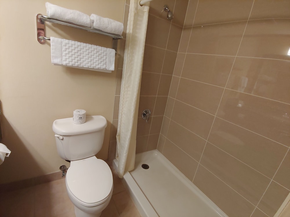 Executive Room, 1 King Bed, Non Smoking, Refrigerator & Microwave