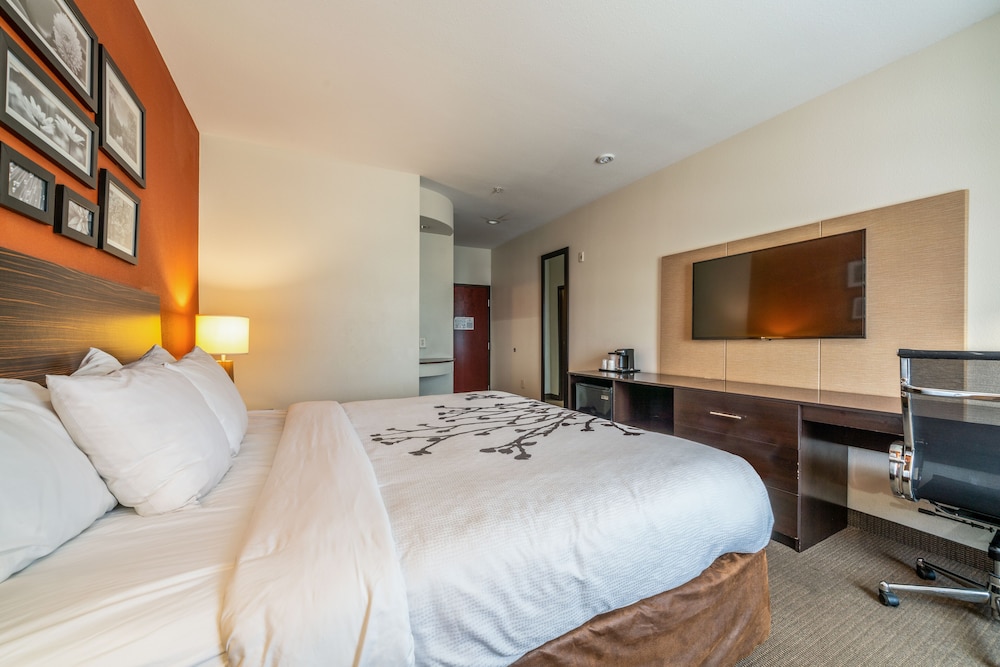 Standard Room, 1 King Bed, Non Smoking - Photo 2