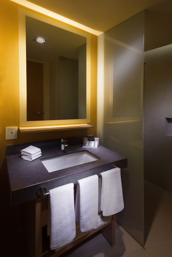 King Room with Roll-In Shower - Mobility Access