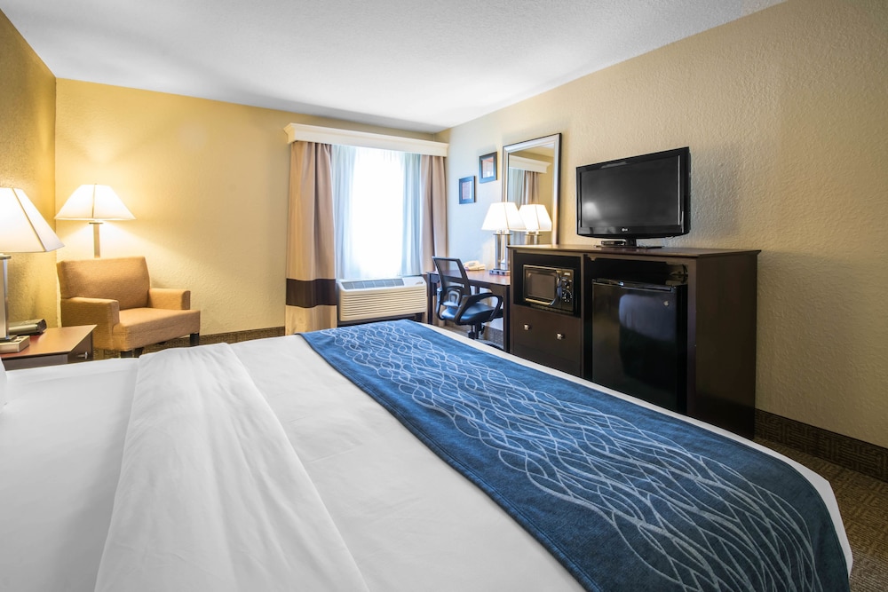 Suite, 1 King Bed with Sofa bed photo 2