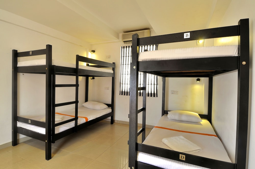 Shared Dormitory (4 Bed Mix Dormitory)