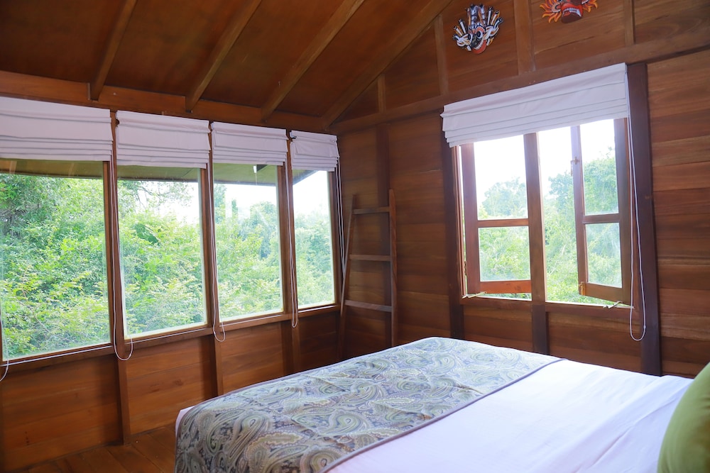 BIRD'S NEST (TREE HOUSE) photo 1