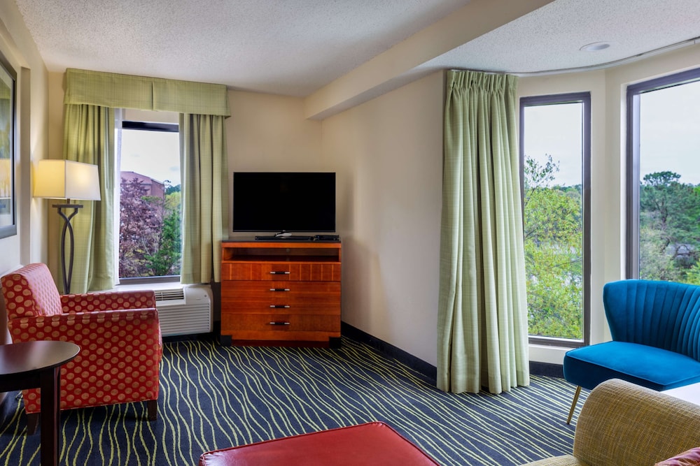 Suite, 1 King Bed, Refrigerator & Microwave, Lake View - Photo 7