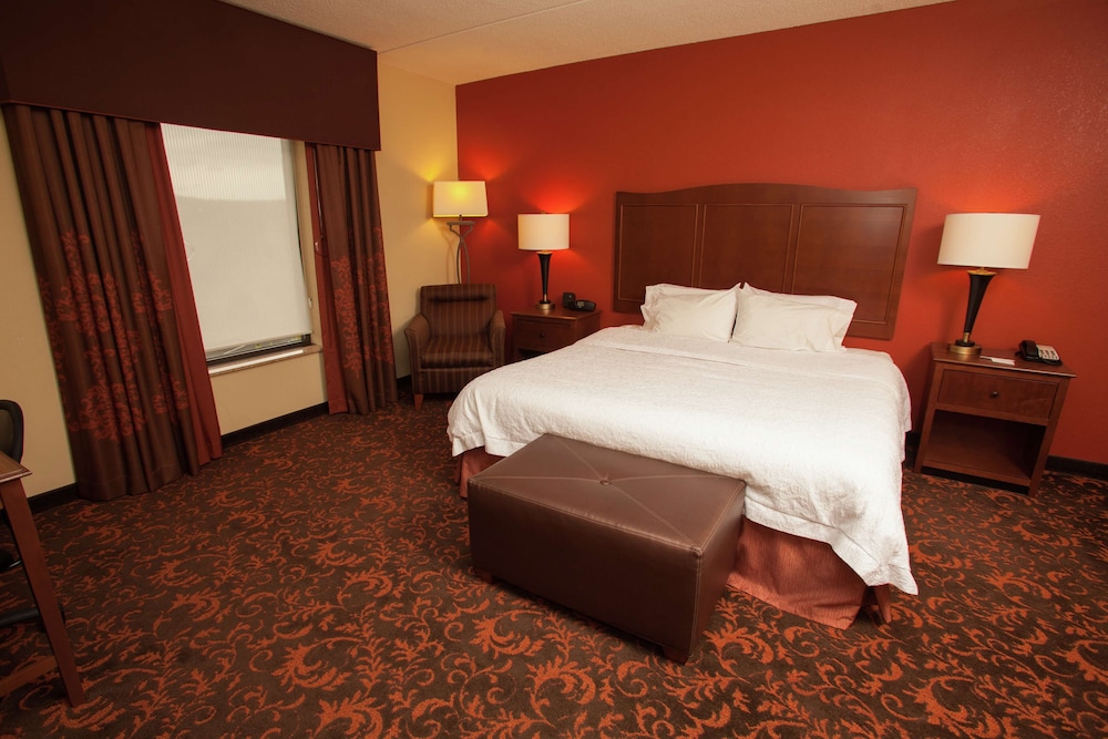 Room, 1 King Bed, Accessible, Non Smoking (Roll-In Shower)
