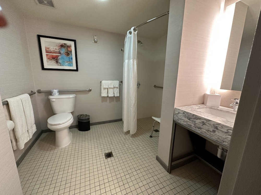 Deluxe Single Room, 1 King Bed, Accessible, Roll-In Shower photo 3