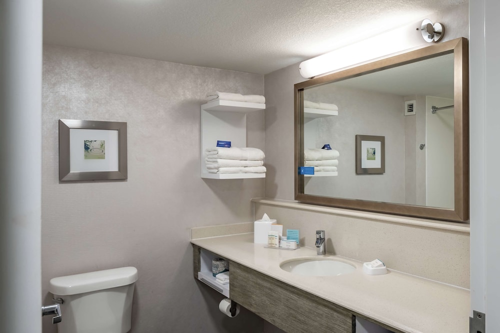 Suite, 1 King Bed, Non Smoking - Photo 5