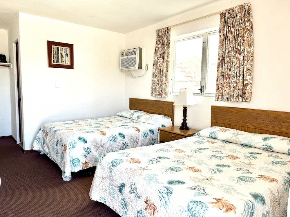 Economy Single Room photo 3