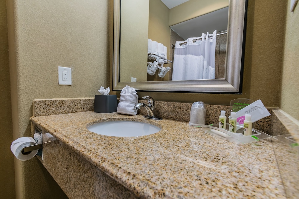 Suite, Multiple Beds (Additional Living Area) - Photo 6