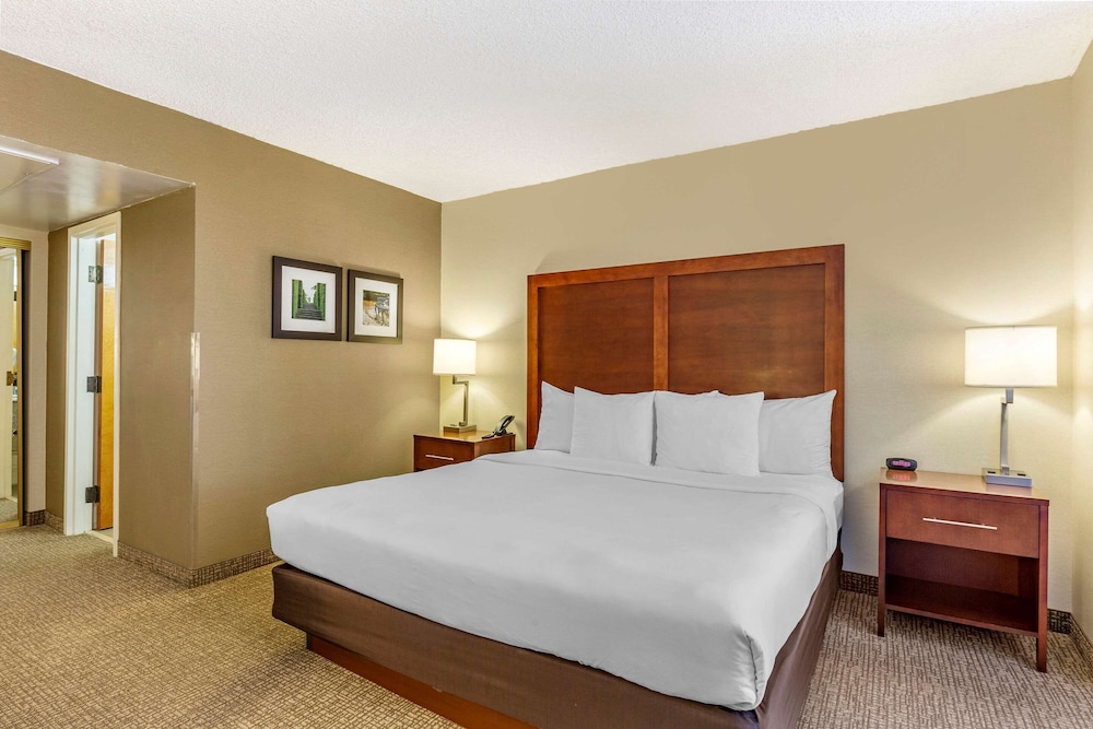 Suite, 1 King Bed, Non Smoking - Photo 2