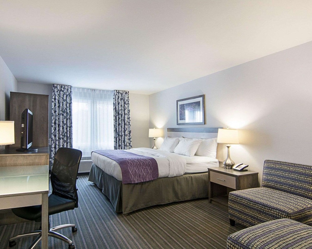 Room, 1 King Bed, Non Smoking - Photo 1
