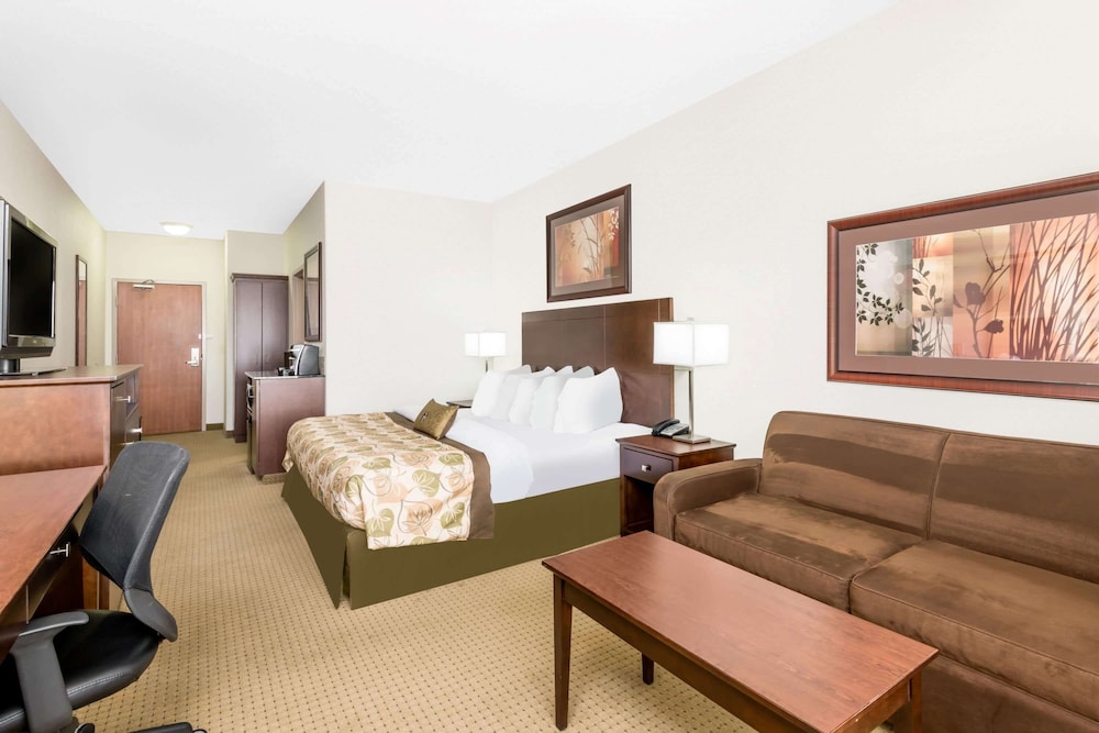 Room, 1 King Bed with Sofa bed, Non Smoking, Refrigerator & Microwave