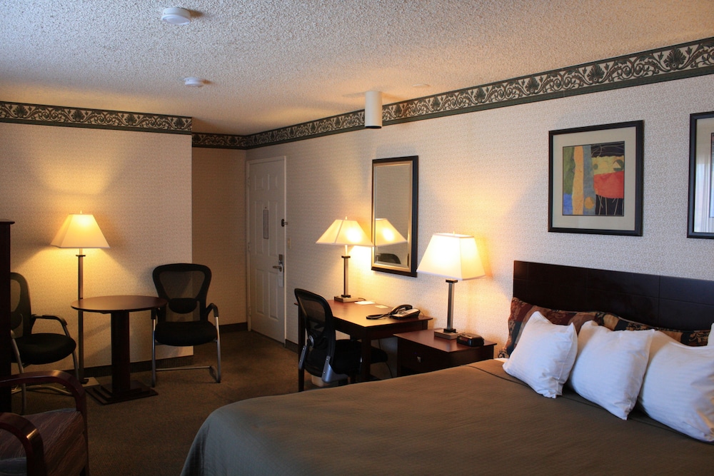 Standard Room, 1 King Bed Non Smoking - Photo 3