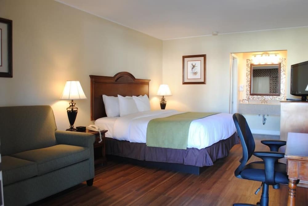 Standard Room, 1 King Bed, Multiple View