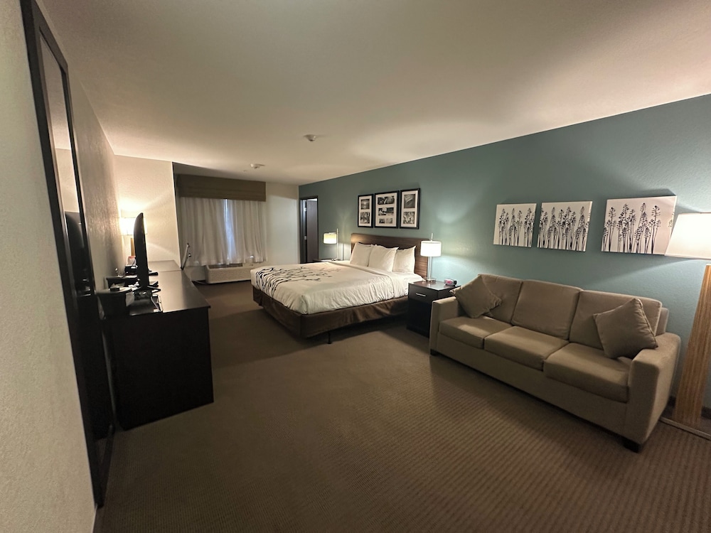 Suite, 1 King Bed with Sofa bed, Accessible, Non Smoking photo 3