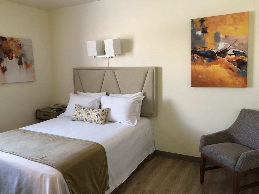 Deluxe Room, 1 Queen Bed, Refrigerator & Microwave photo 1