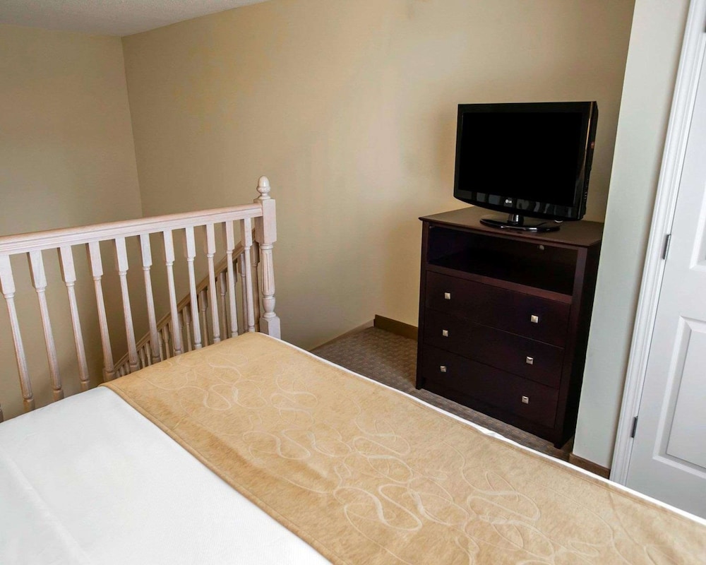 Suite, 1 King Bed with Sofa bed, Non Smoking (Pet Friendly) - Photo 4