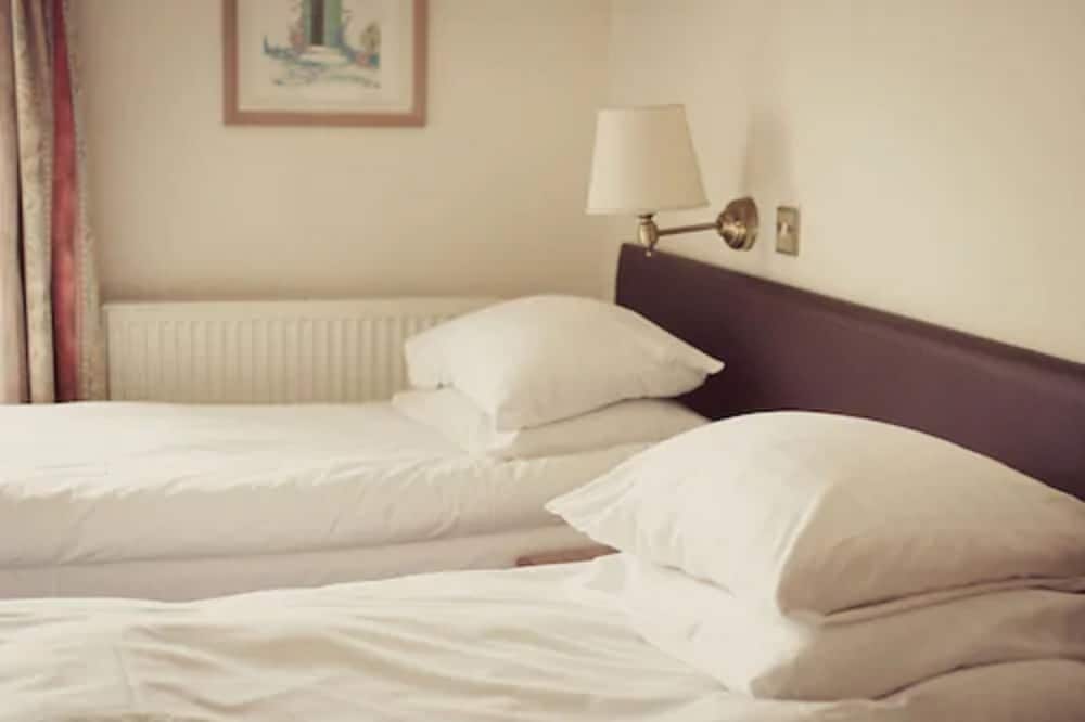 Twin Room photo 2