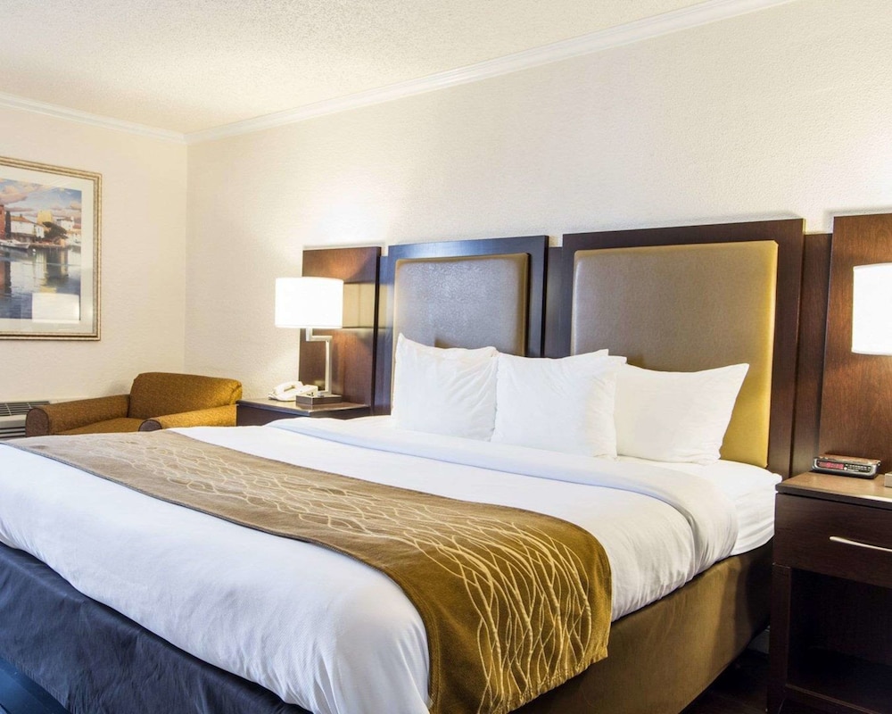 Standard Room, 1 King Bed, Non Smoking, Ocean View photo 3