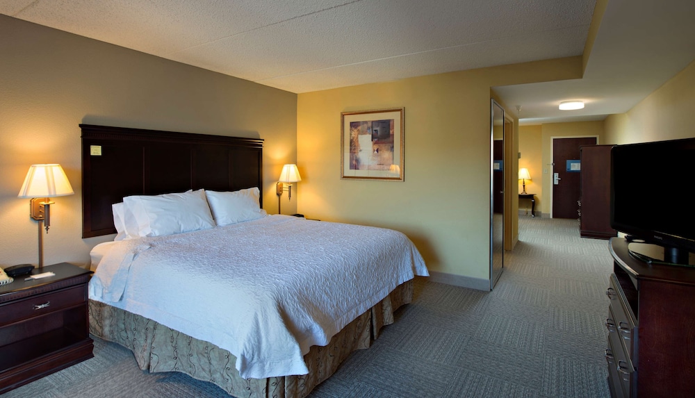 Suite, 1 King Bed, Accessible, Non Smoking photo 2