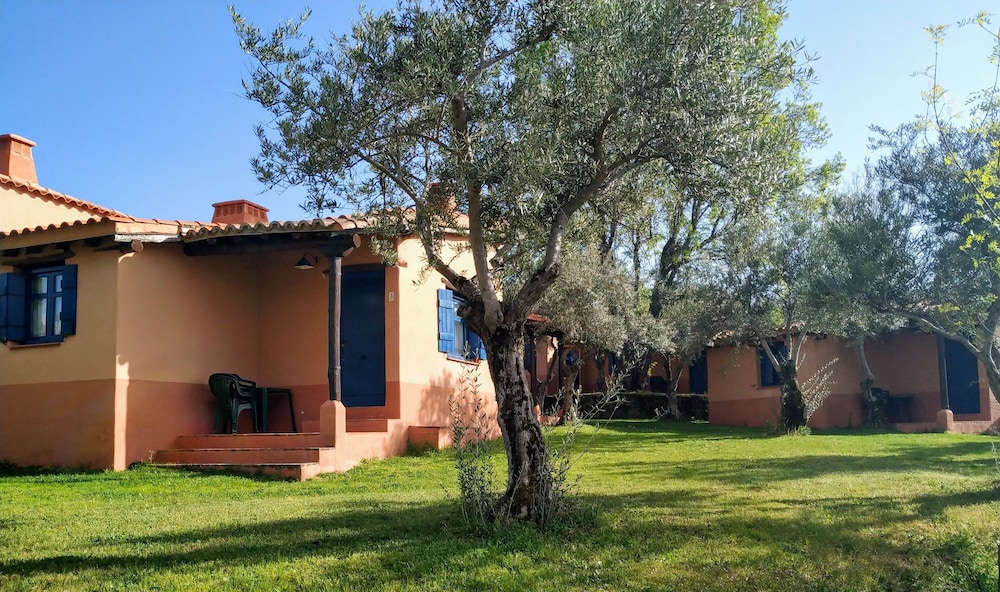 Economy Double or Twin Room, Patio, Mountain View photo 2