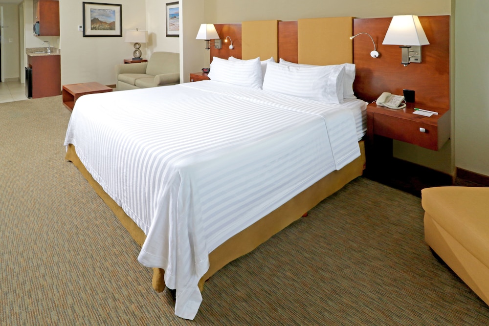 Suite, 1 Bedroom photo 2