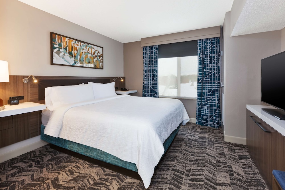 1 King Bed Junior Suite - Photo 1