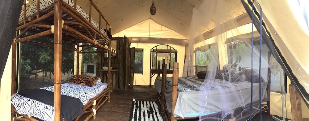Traditional Tent, Multiple Beds photo 1