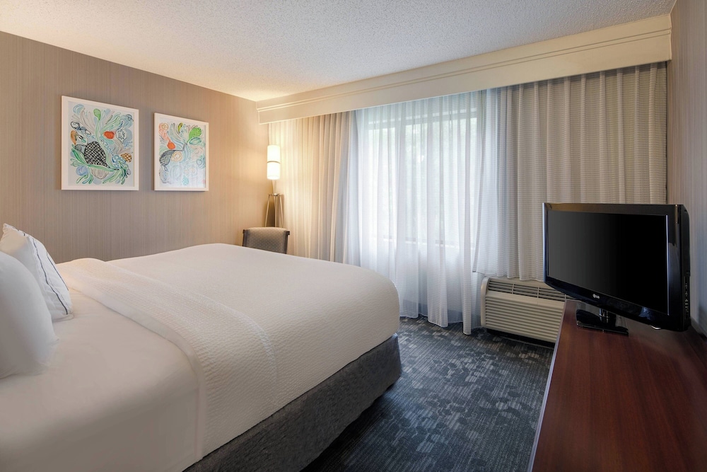 Suite, 1 King Bed with Sofa bed (Hearing Accessible) - Photo 1