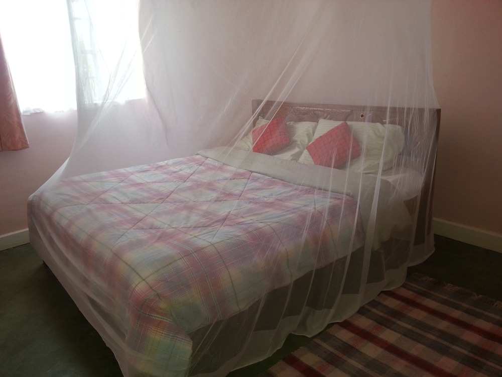 Standard Single Room, 1 Large Twin Bed photo 1