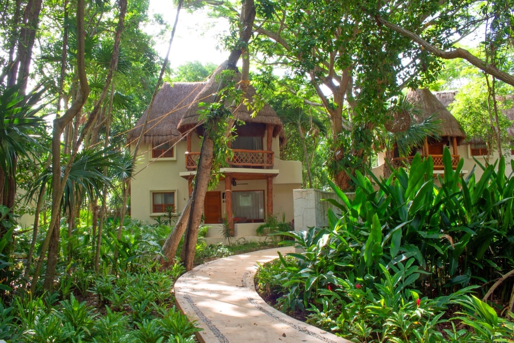 The Oasis Palapa