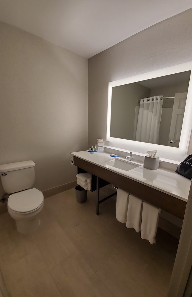 Suite, 1 King Bed, Accessible (Hearing, Tub) photo 3