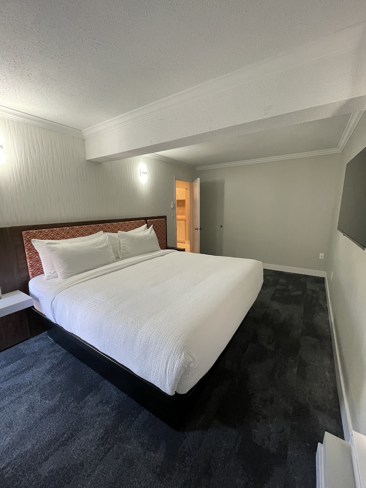 Suite, 1 King Bed, Non Smoking (Upgrade) - Photo 2