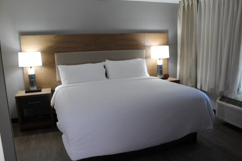 Studio Suite, 1 King Bed with Sofa bed - Photo 6