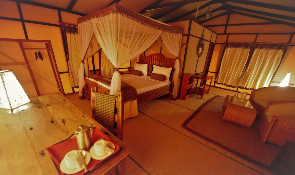 Deluxe Twin Room photo 2