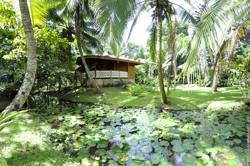 3 Bed Bungalow 8 photo 1