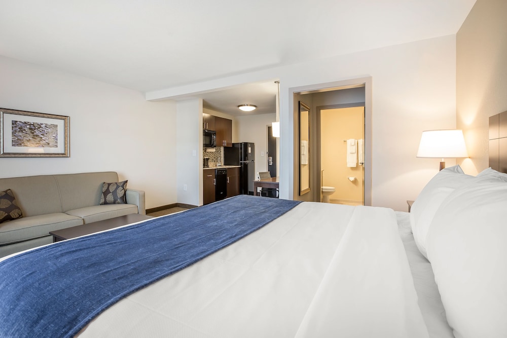 Suite, 1 King Bed with Sofa bed, Accessible, Non Smoking (Efficiency) photo 1
