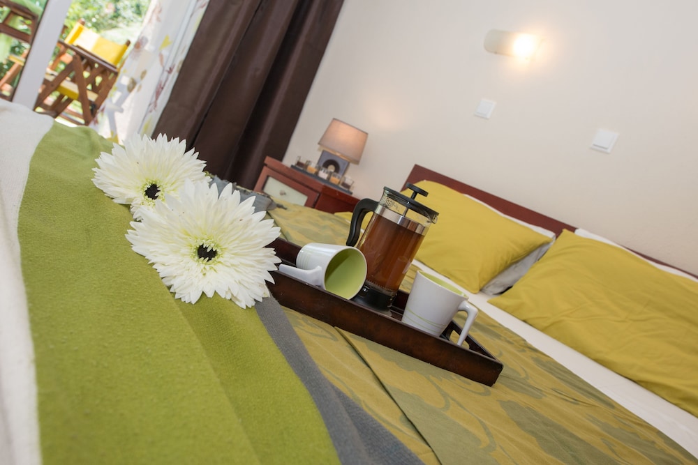 Standard Apartment, Terrace, Pool View