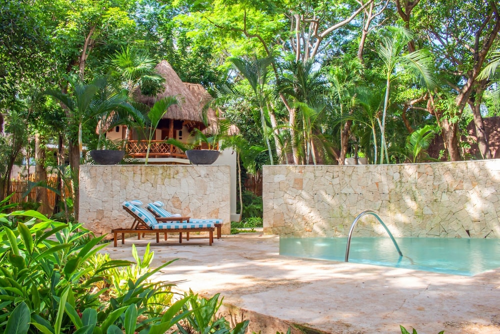 The Oasis Palapa