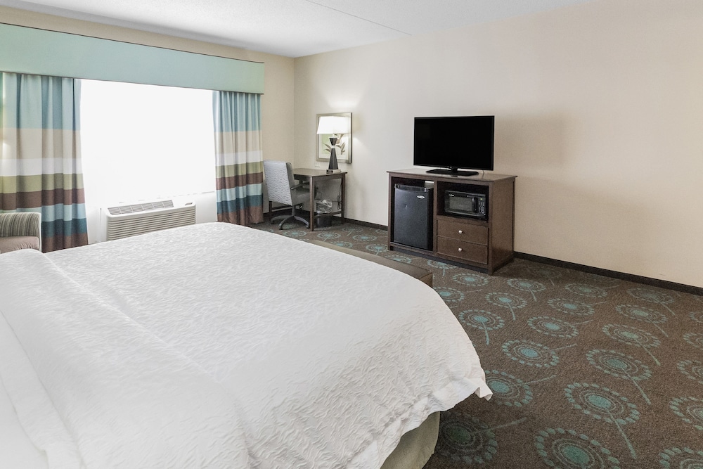 Room, 1 King Bed, Accessible photo 3
