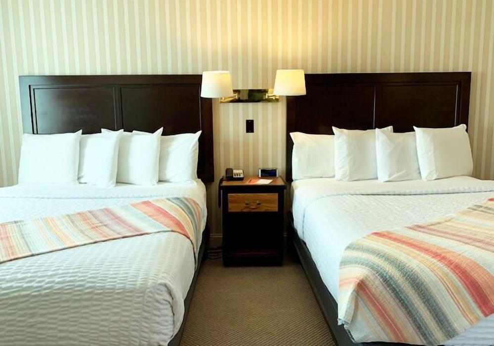 Single Room, 2 Double Beds photo 1