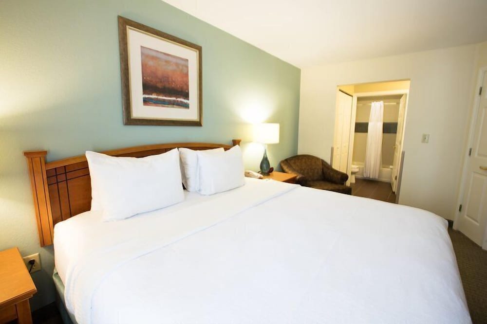 Suite, 1 King Bed, Kitchen - Photo 8