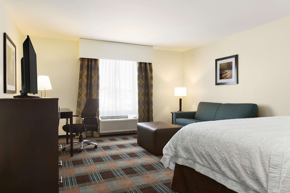 Room, 1 King Bed, Accessible photo 3